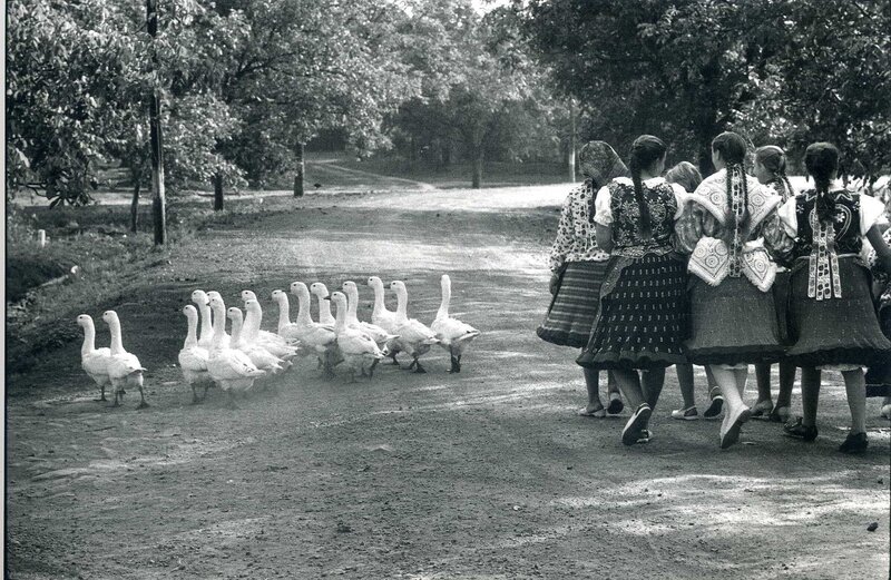 Women in traditional dress with geese