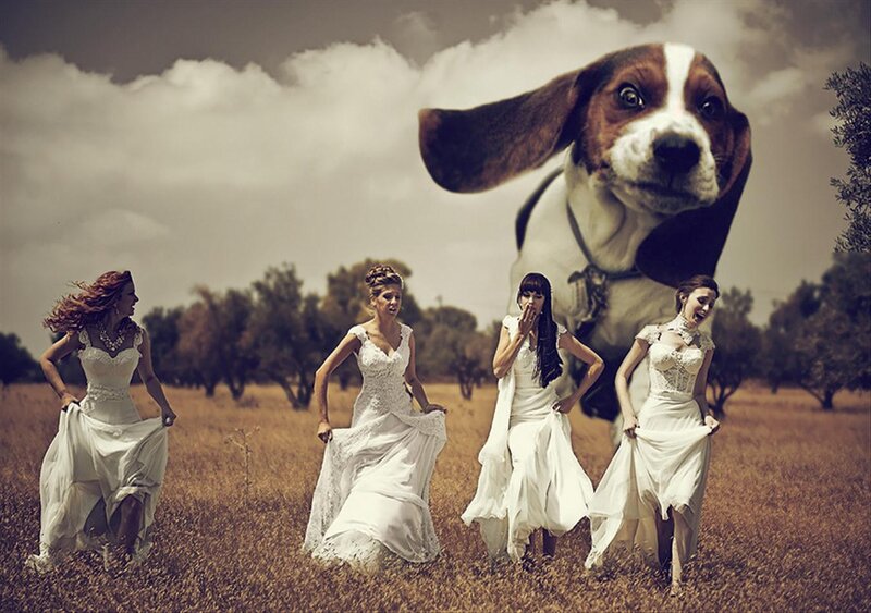Women in Wedding Dresses