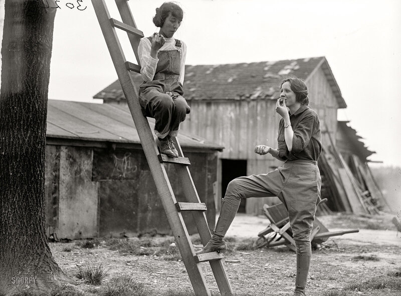 Women on a ladder outdoors