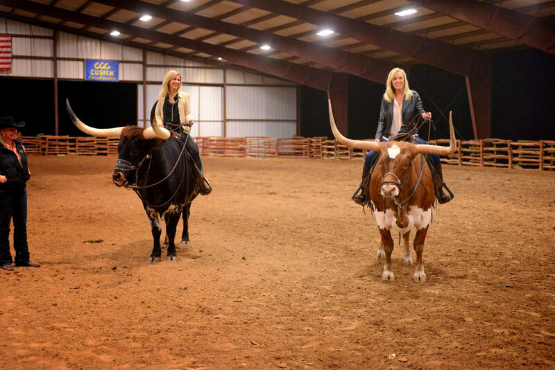 Women Riding Longhorn Cattle — Brown