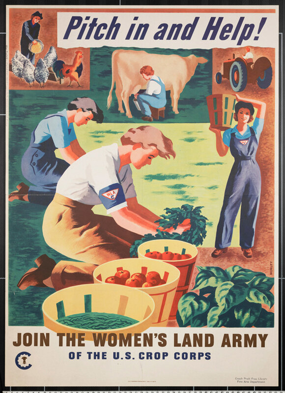Women's Land Army recruitment poster