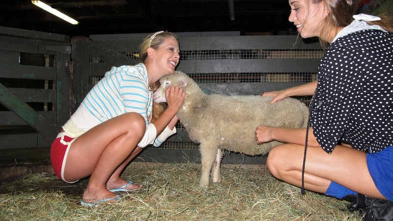 Women with a lamb in a barn