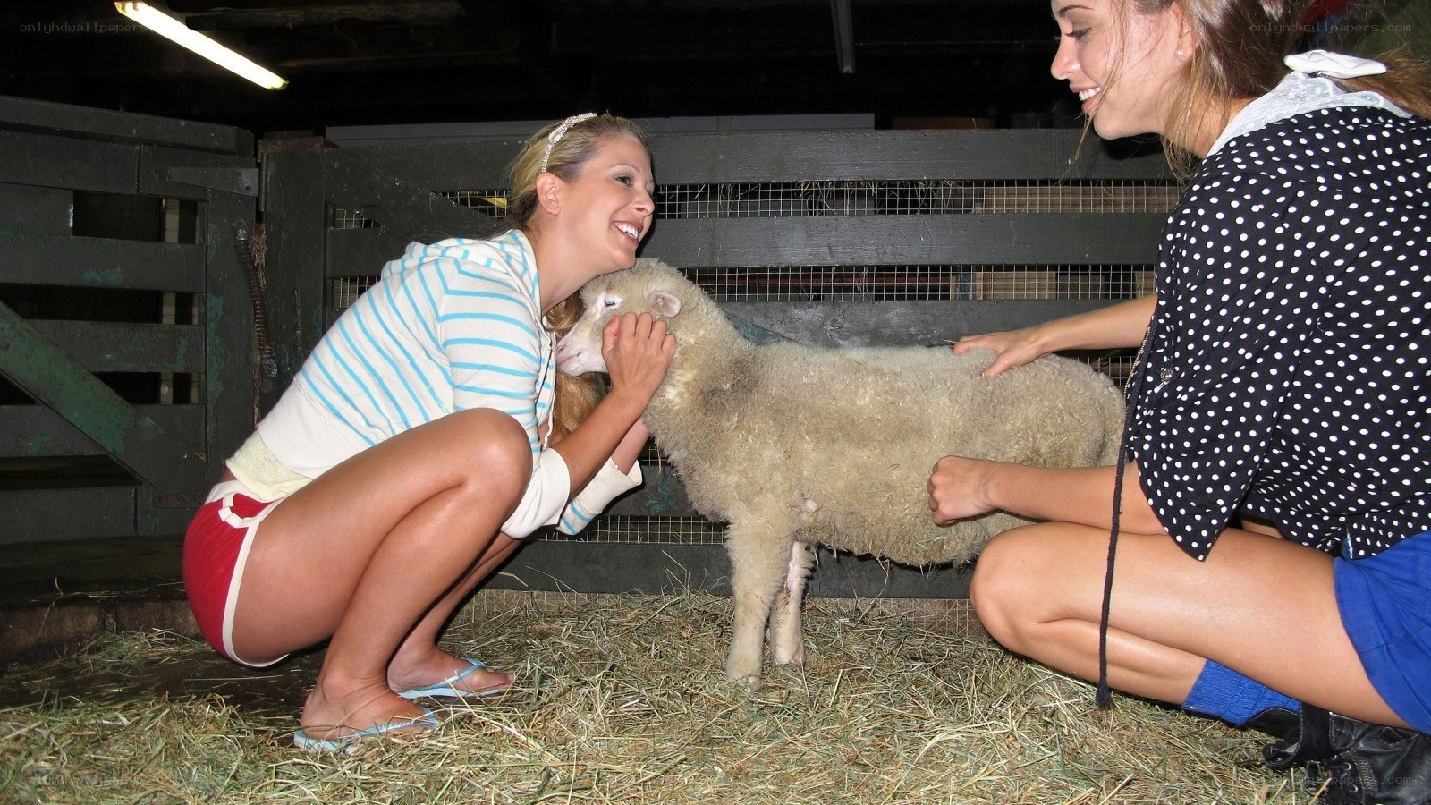 Women with a lamb in a barn