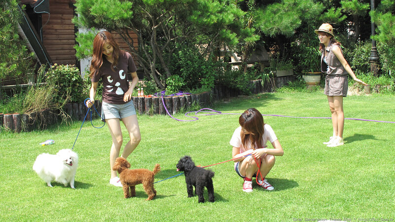 Women with dogs in garden