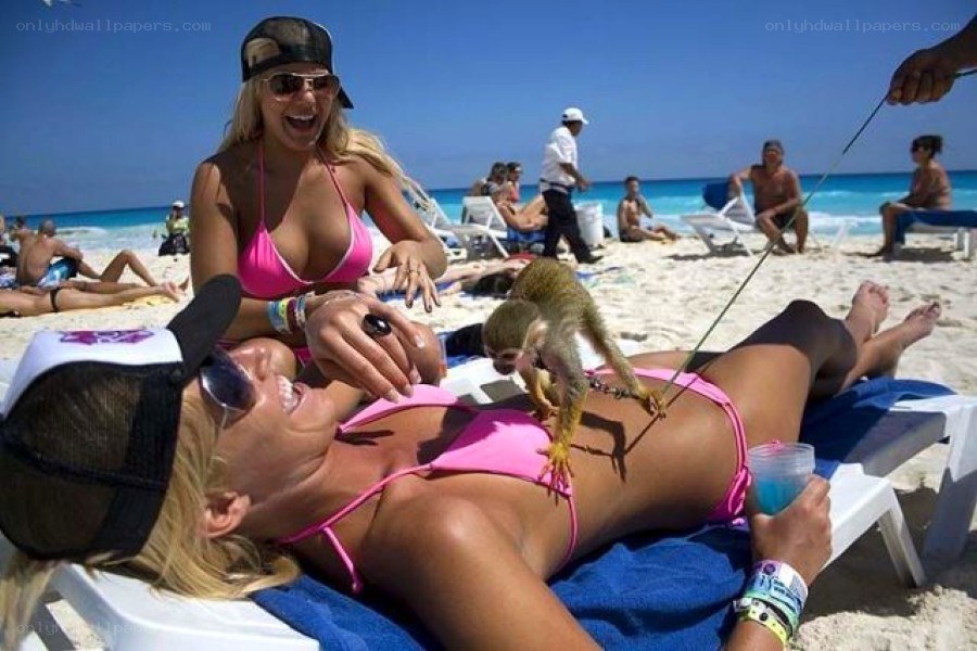 Women with monkey on beach