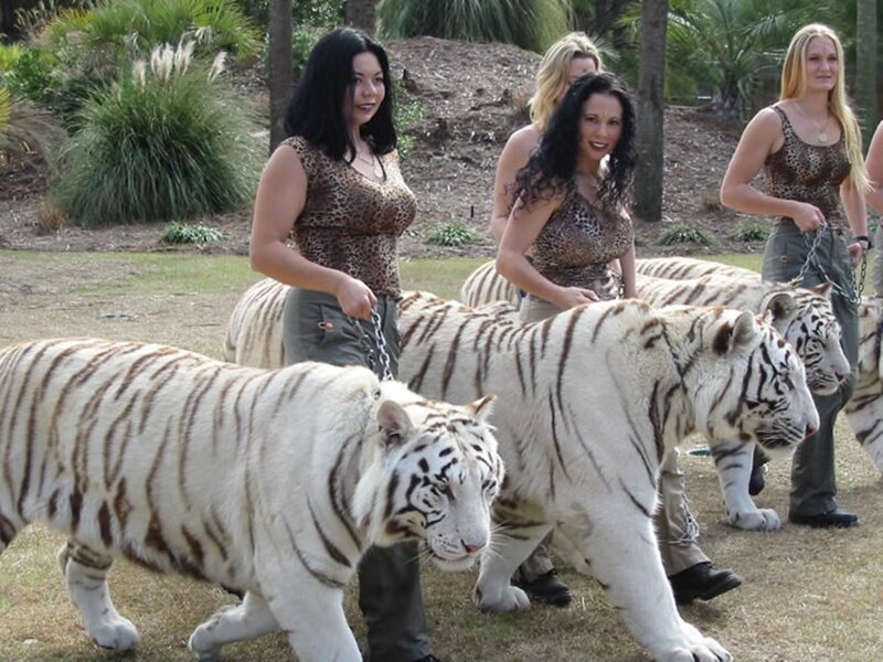 Women with White Tigers