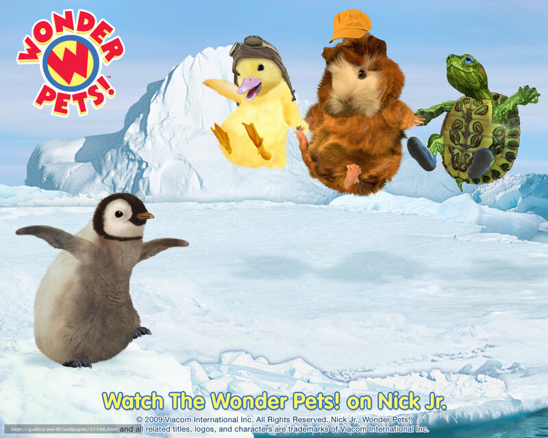 Wonder Pets in Antarctica