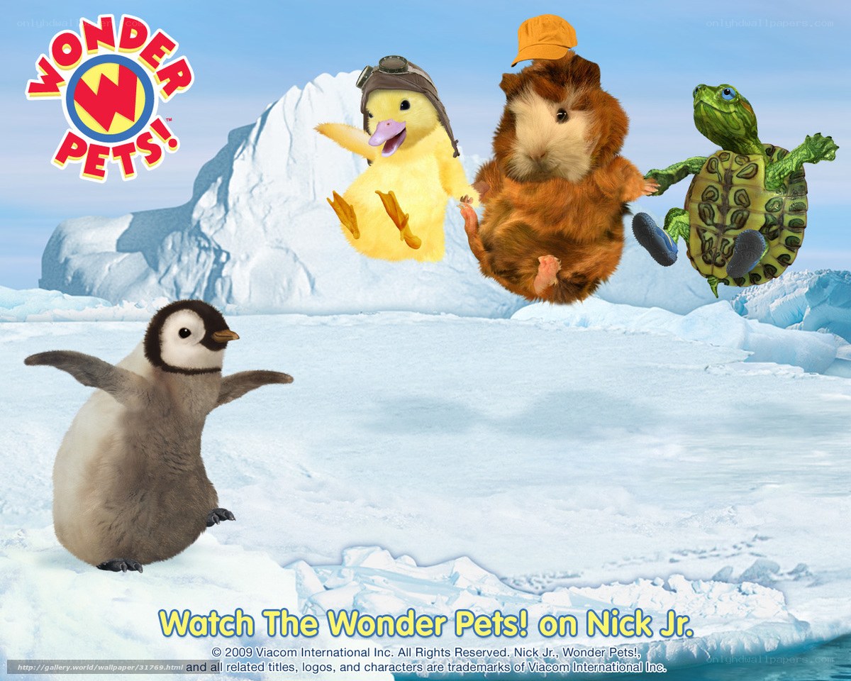 Wonder Pets in Antarctica