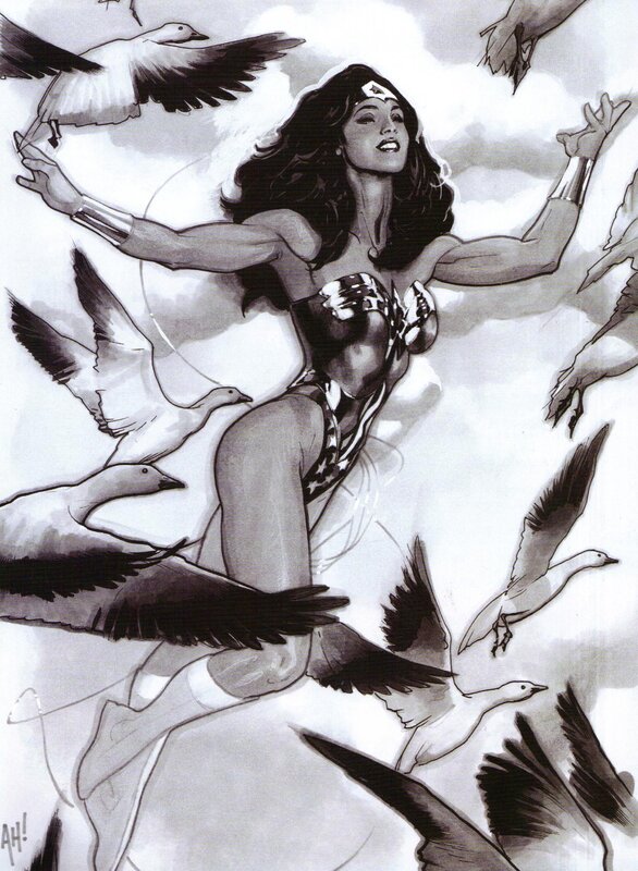 Wonder Woman with birds