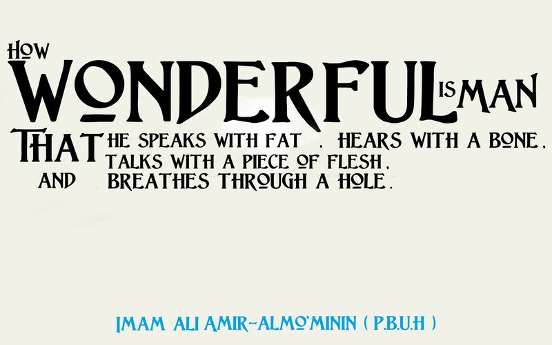 Wonderful Man Quote