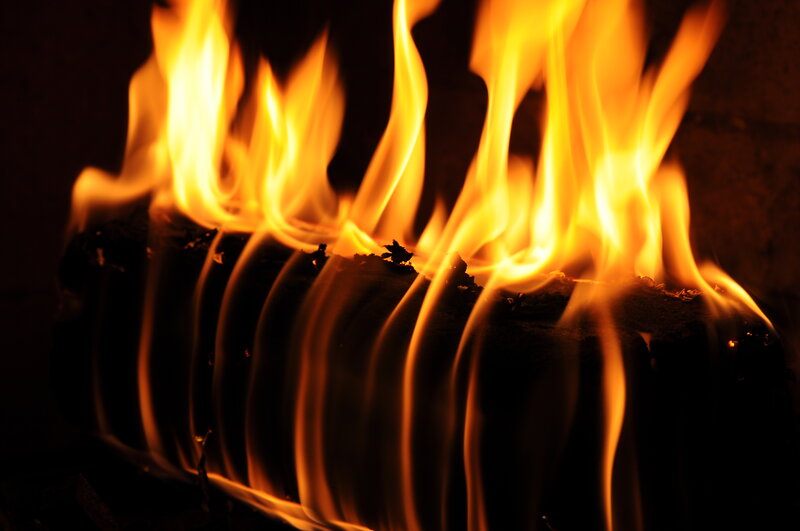 Wood Burning in Fire