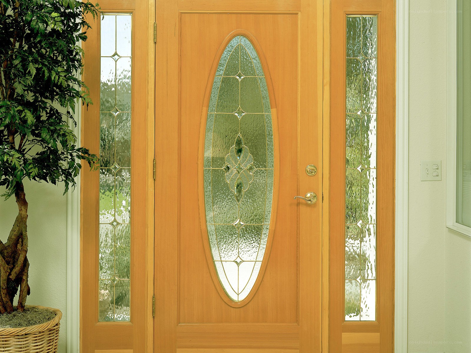 wood door with glass panels