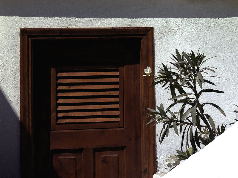 wood door with plant