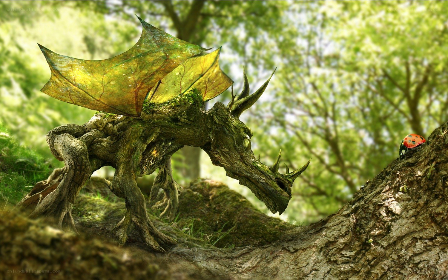 wood dragon in forest