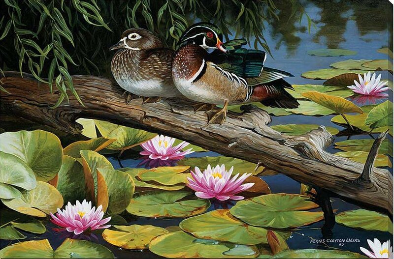 Wood Duck Pair on Branch — Green