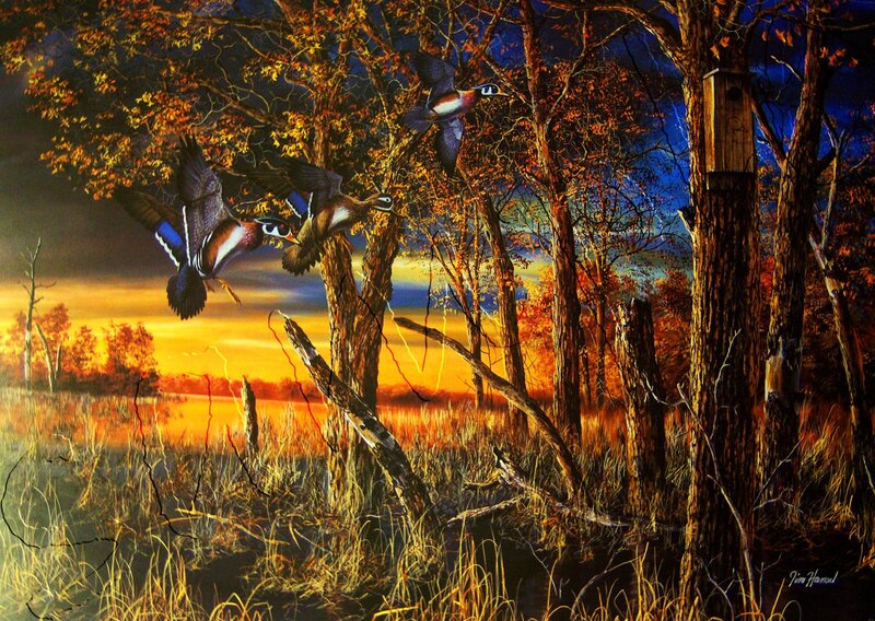 Wood Ducks in Flight — Orange