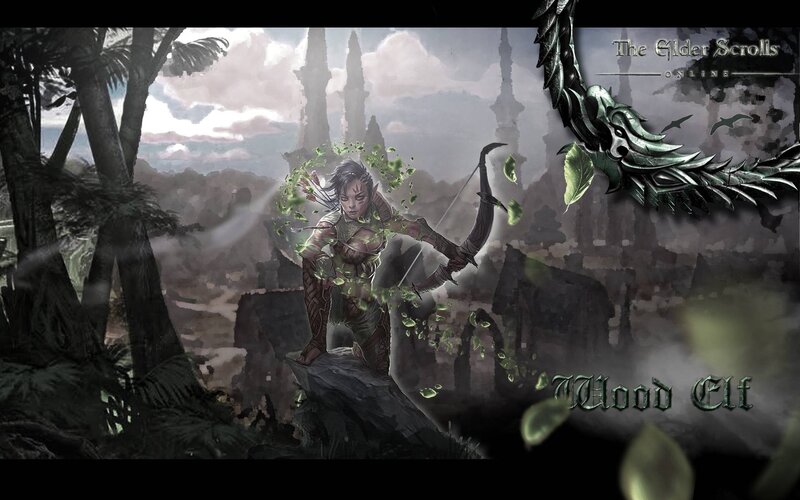 Wood Elf Archer in Ruins