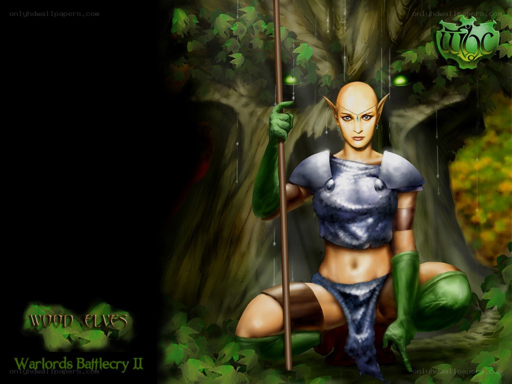 Wood Elf Warrior in Forest