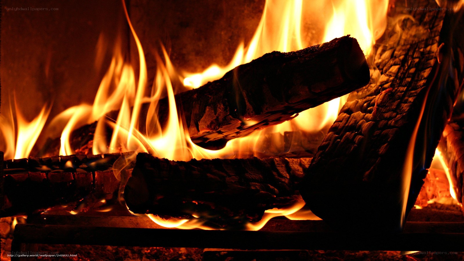 Wood fire burning in fireplace