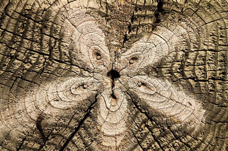 Wood Grain Pattern