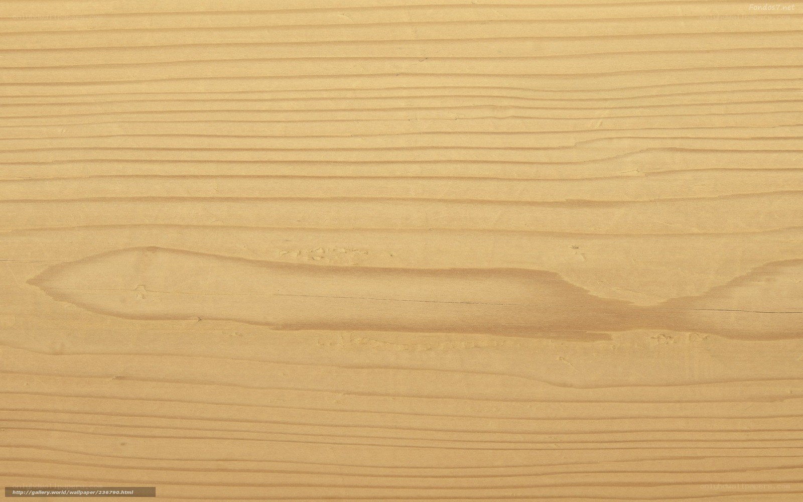 wood grain texture