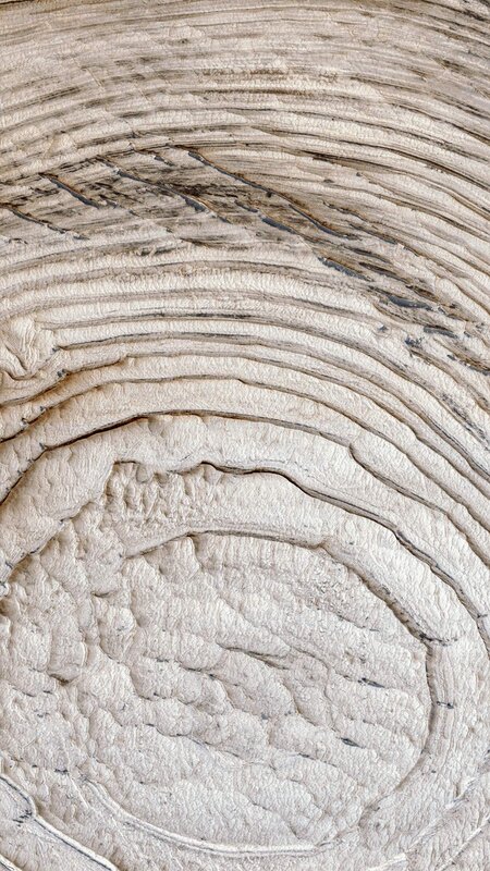 Wood Grain Texture — Beige, Neutral, Photograph