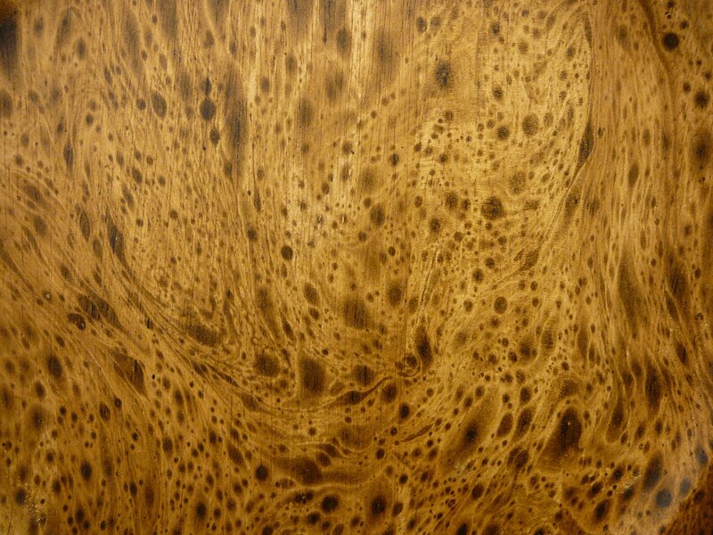 Wood Grain Texture — Brown, Neutral, Photograph, Dots