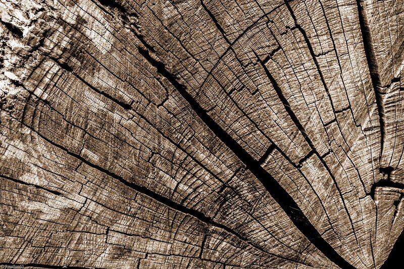 Wood Grain Texture — Brown, Textured