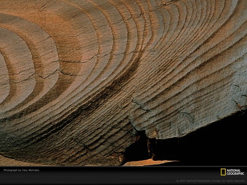 Wood Grain Texture — Brown