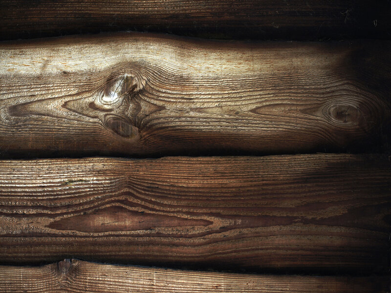 wood grain texture close-up