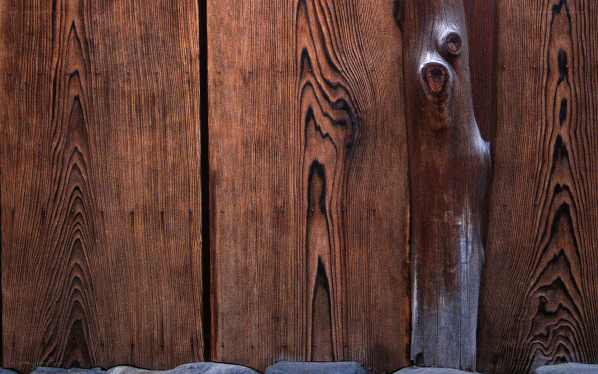 wood grain texture close-up