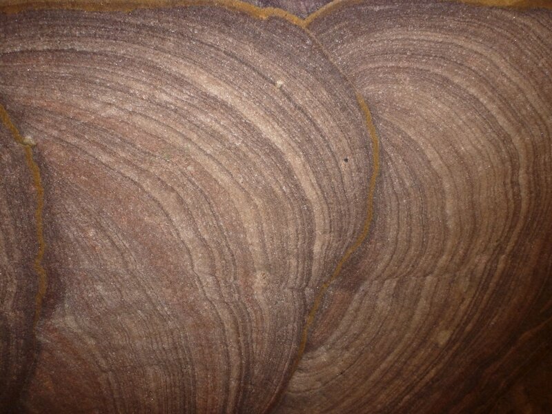 wood grain texture close-up