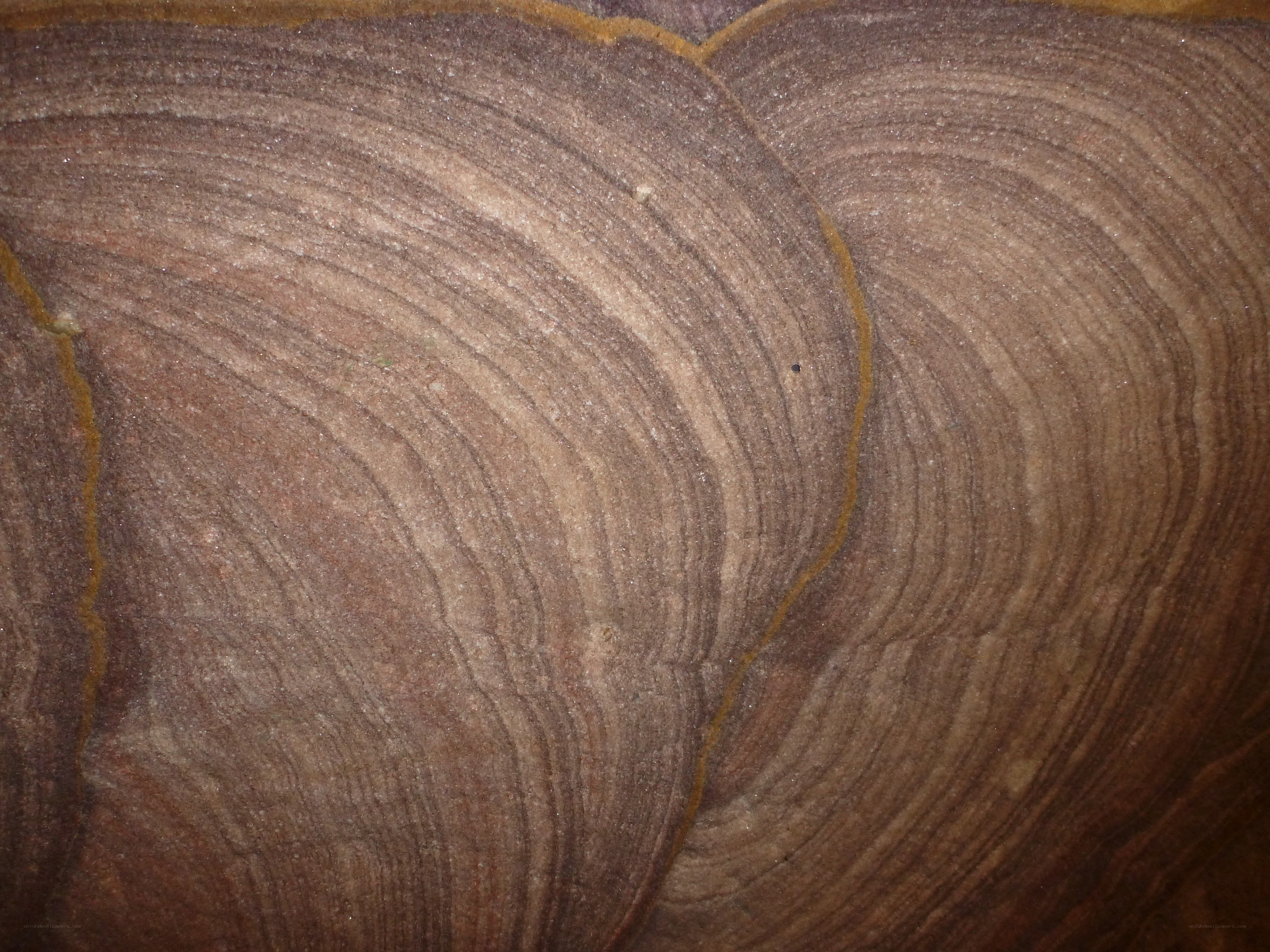 wood grain texture close-up