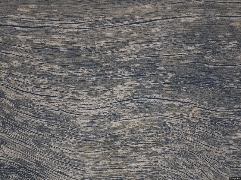 Wood Grain Texture — Gray