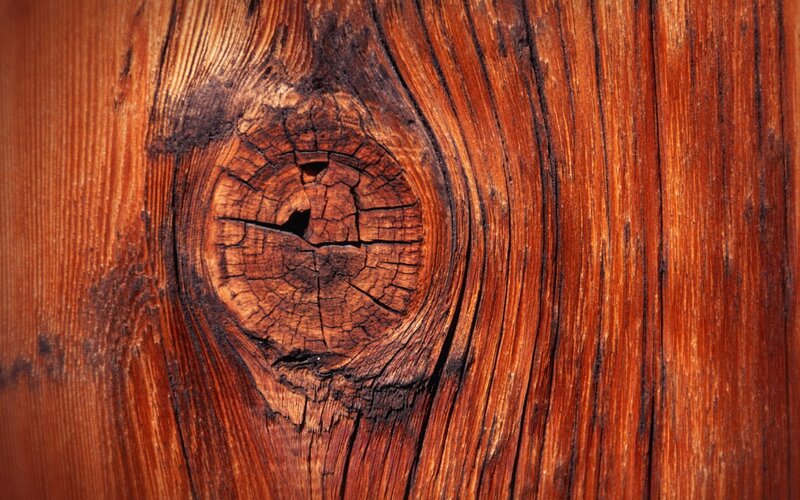 Wood Grain with Knot — Brown, Natural