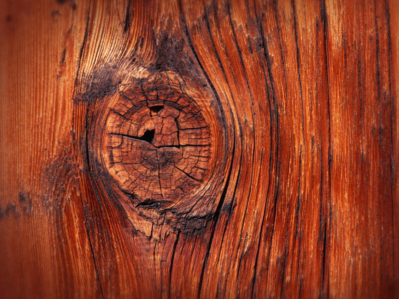 Wood Grain with Knot — Photograph