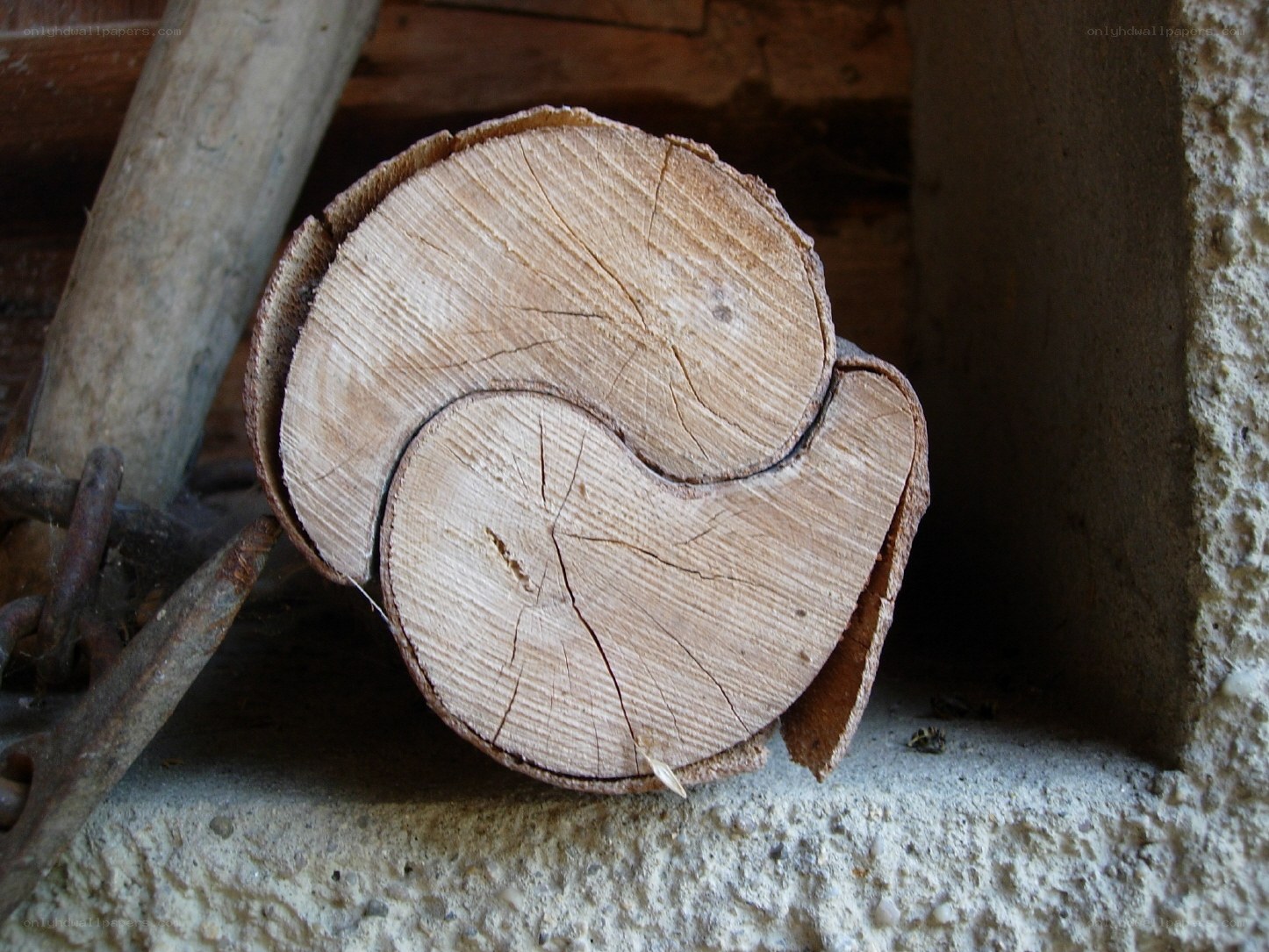 wood log with yin-yang cut