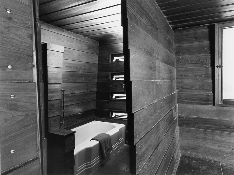Wood-paneled bathroom interior