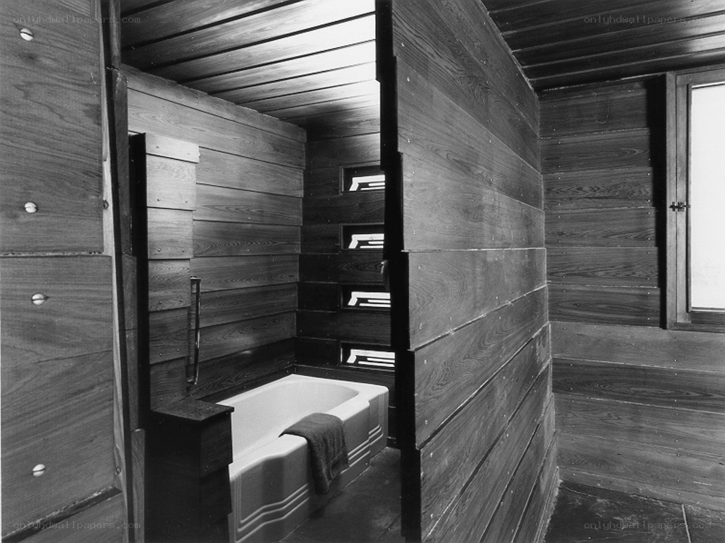 Wood-paneled bathroom interior