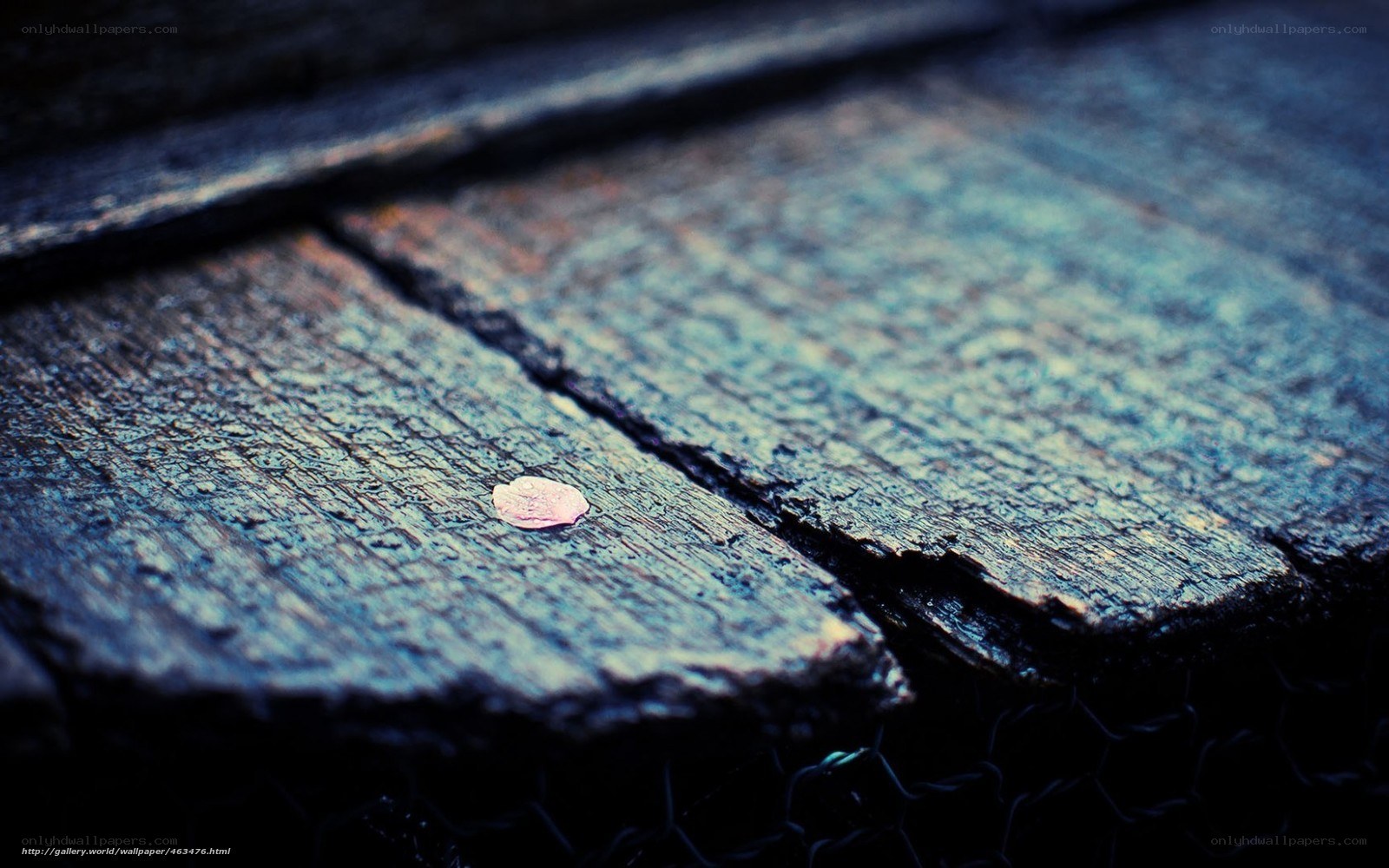 wood plank with coin