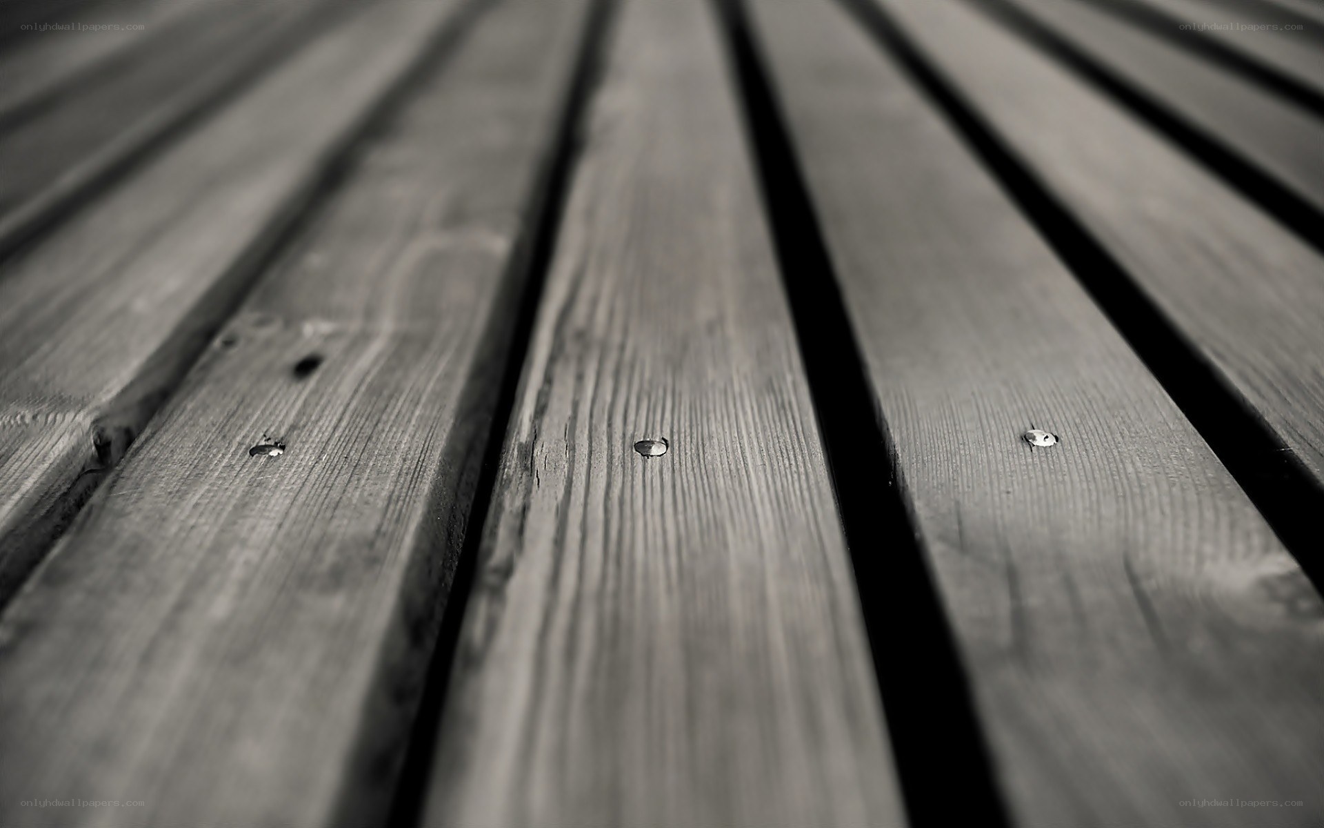 wood planks with nails