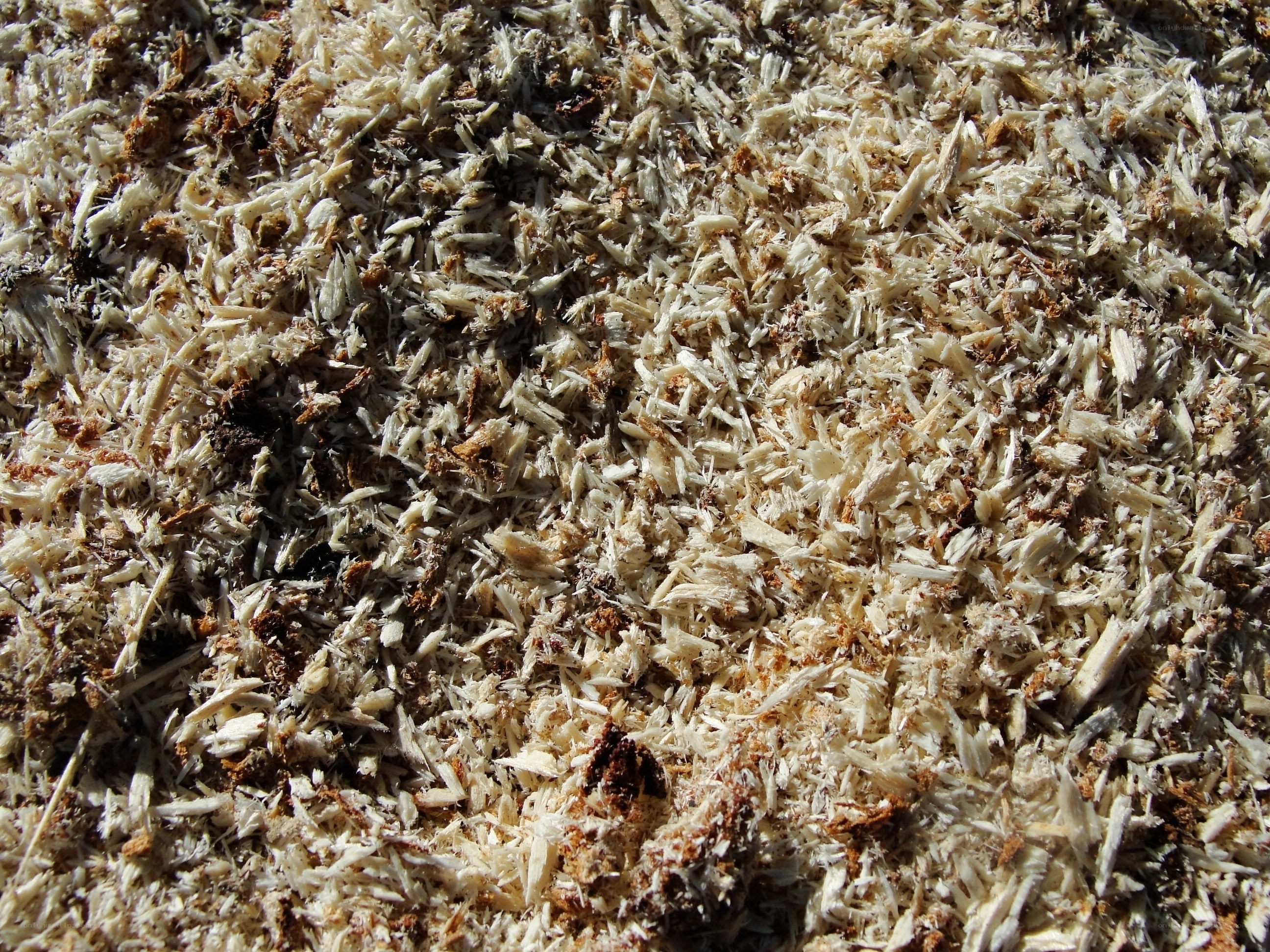 wood shavings pile