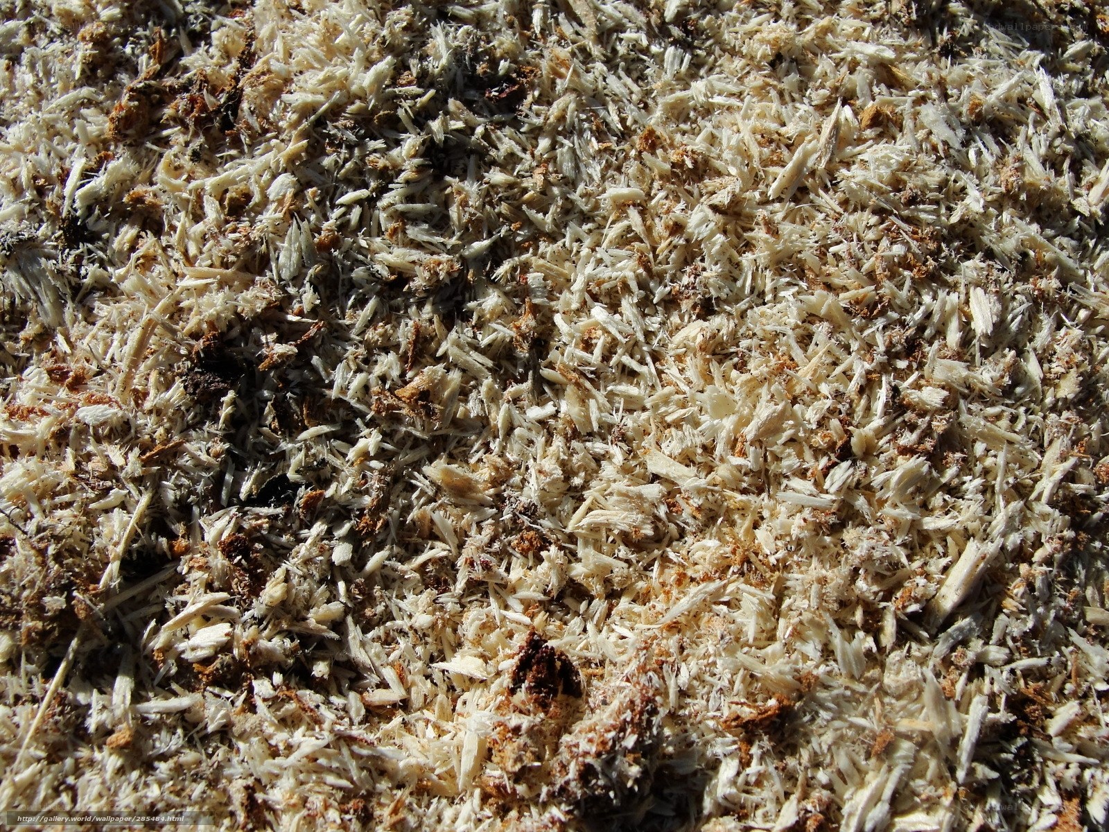 wood shavings texture