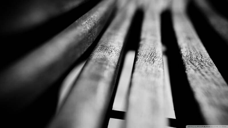 wood texture close-up