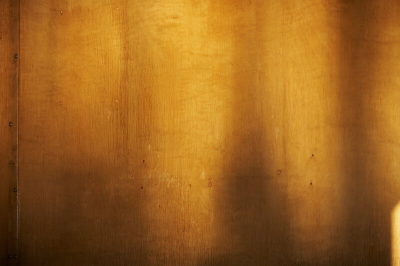 wood texture with sunlight