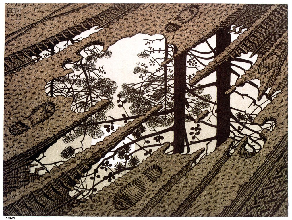Woodcut forest scene