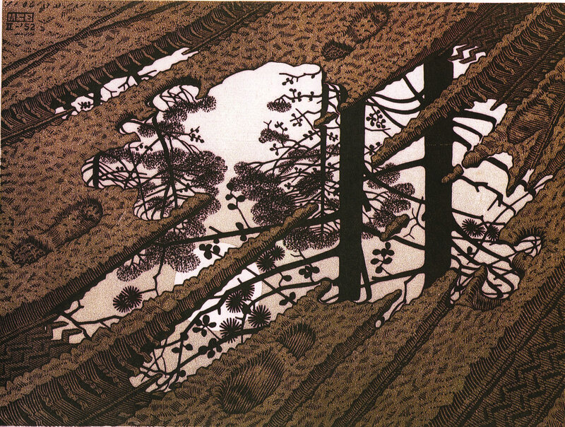 Woodcut of a forest scene