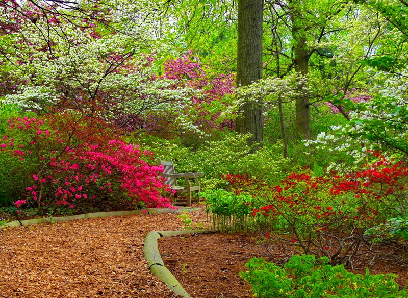Wooded Garden Bench