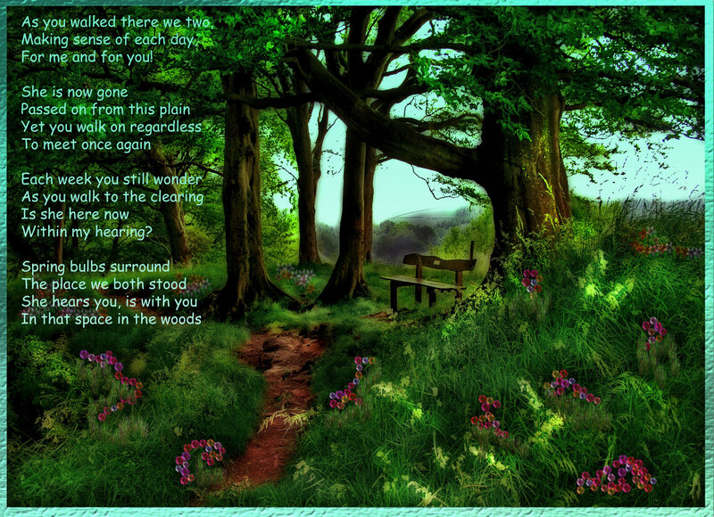 Wooded Path with Bench