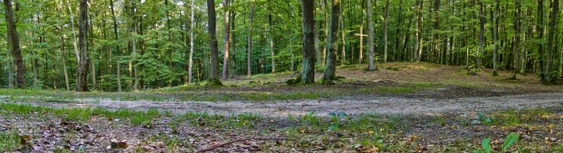 Wooded Path with Cross